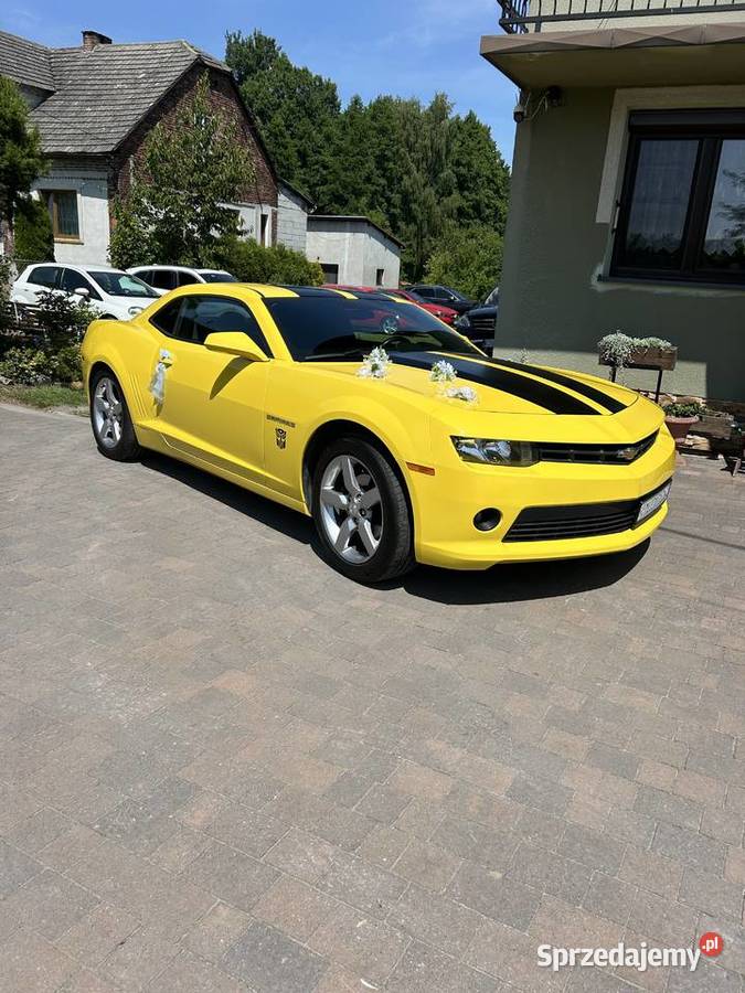 Camaro 36V Camaro