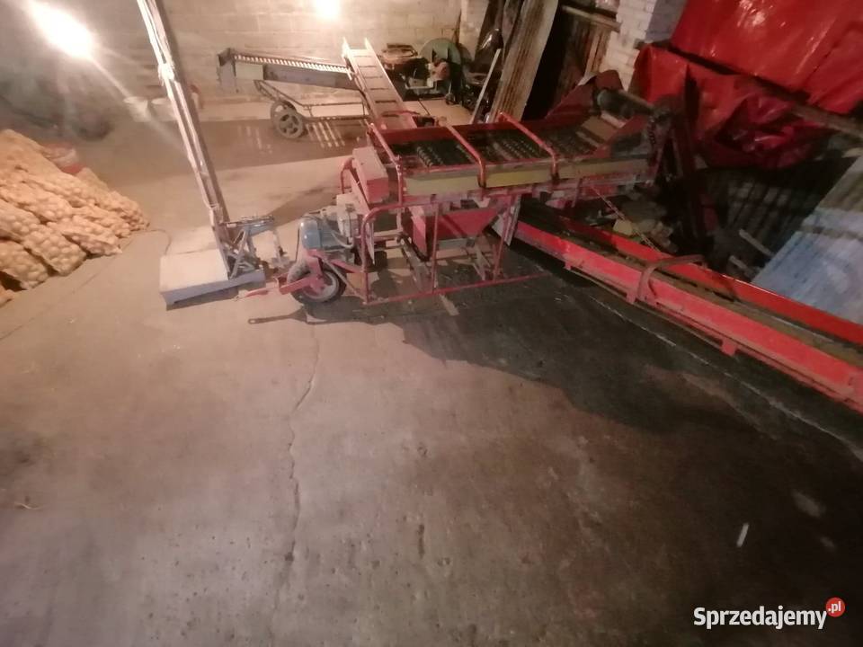 Sortownik rolkowy do ziemniaków cebuli itp nieuszkodzony kujawsko-pomorskie Gogolin
