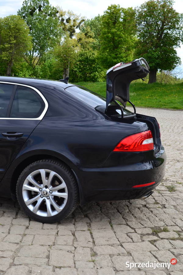 Skoda superB Gorzów Wielkopolski