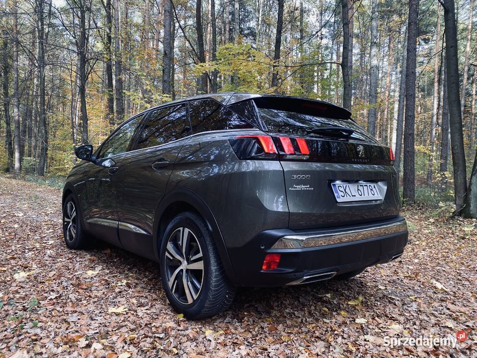 PEUGEOT 3008 GT LINE FULL LEDY SPROWADZONY OC NA Panki