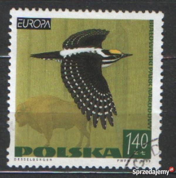 Zn Fi 3615 kas 1999 Gliwice