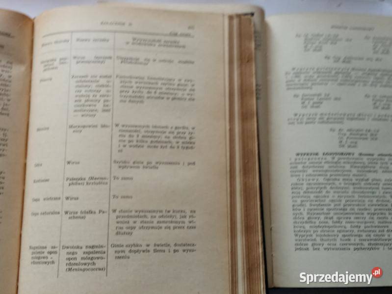 Przewodnik terapeutyczny Zelenin Kurszakow1952 Łódź sprzedam