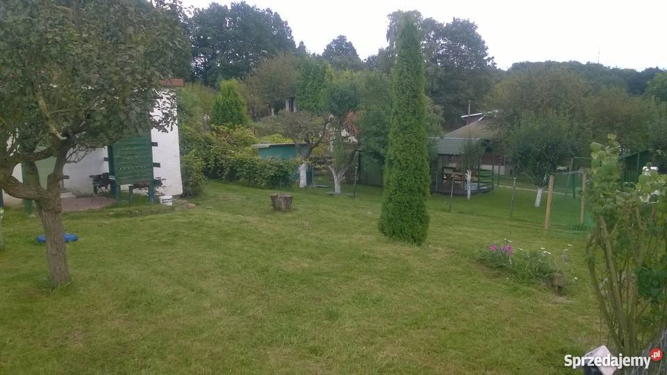 DZIAŁKA ROD PUSZCZA SZCZECIN BUKOWE 46zł/m2