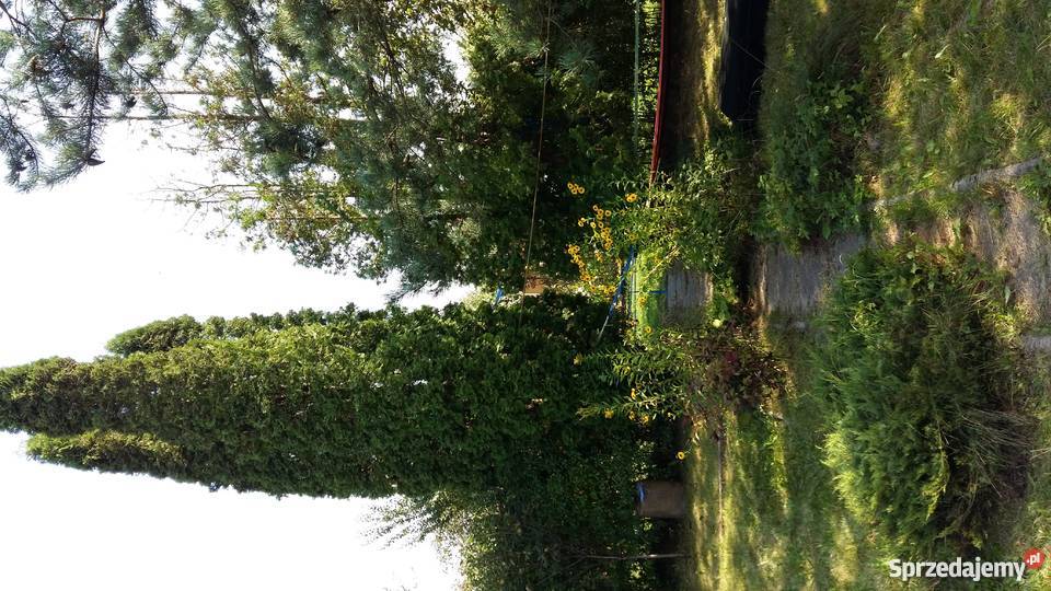 Działka ROD Słonecznik Lublin