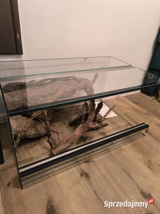 Terrarium szklane mazowieckie