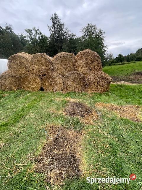 Baloty sianokiszonki Mrągowo