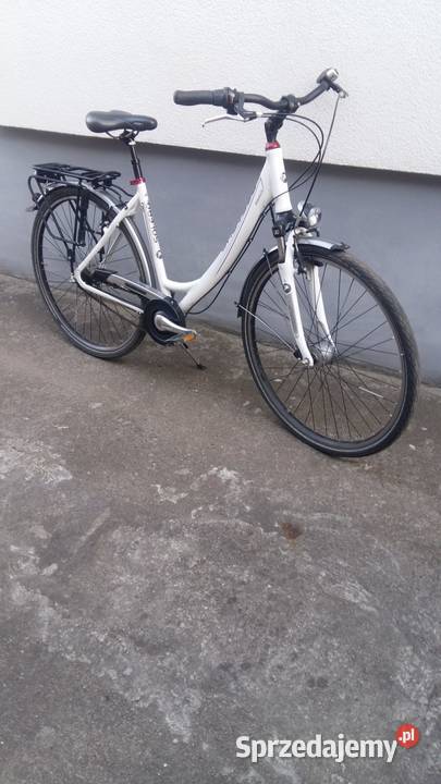 Rower miejski aluminiowy Pegasus