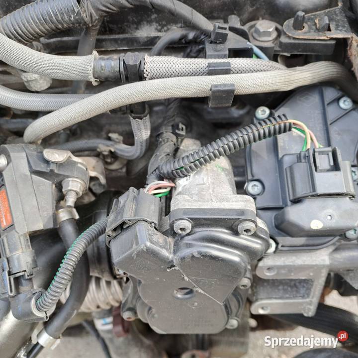 Renault Laguna III Trafic 20DCi 131 silnik kod Jastrzębie-Zdrój