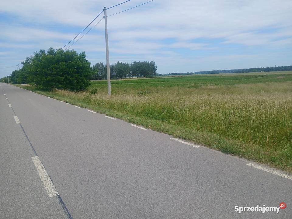Działka budowlana 45 a Krzywowola gm Rejowiec 115m lubelskie Chełm sprzedam