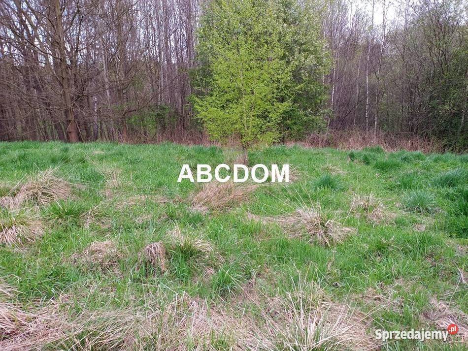 Raciborsko 39 ara łąki Tereny Z las Tereny ZL Sprzedaż sprzedam