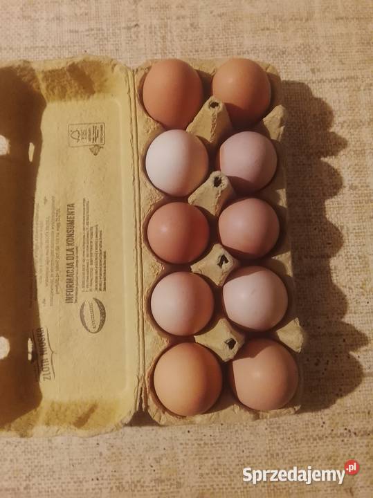 Sprzedam jajka 120
