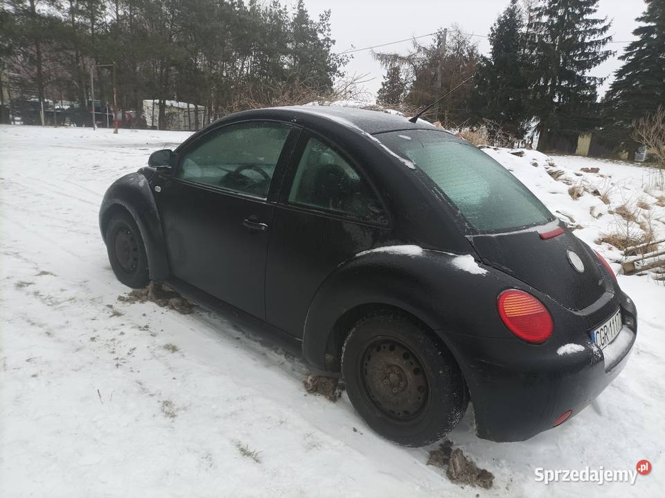 Beetle LPG 2/3 Toruń