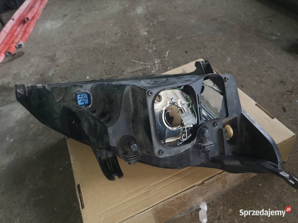Lampa przednia prawa Ford Focus Chojnów