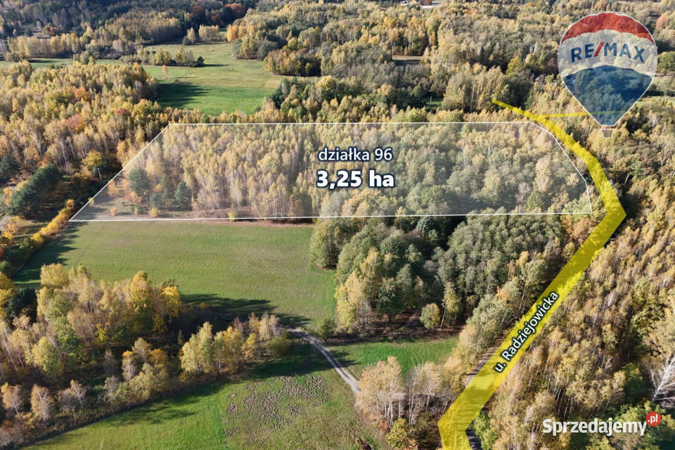 325ha wśród lasów Budy Michałowskie 250m sprzedam