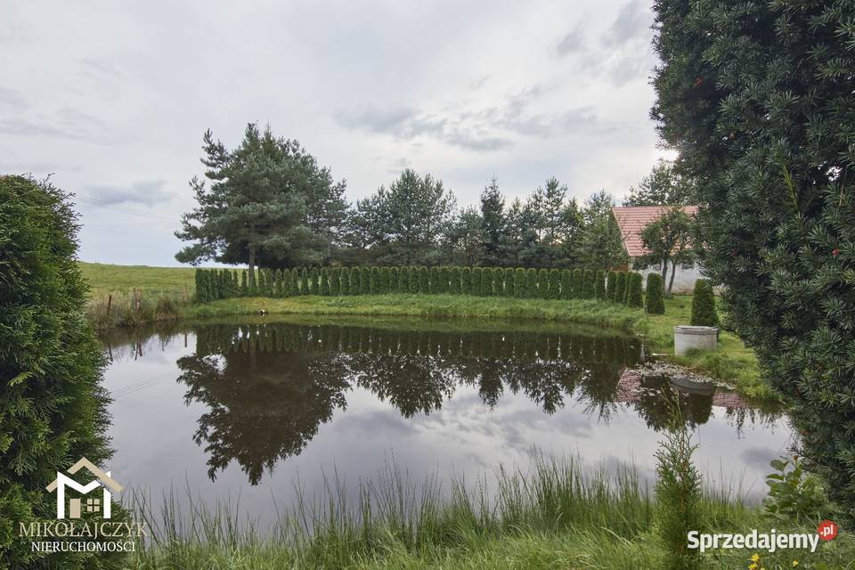 Wyjątkowe siedlisko ze stawem na Warmii 079 ha warmińsko-mazurskie Bukowiec
