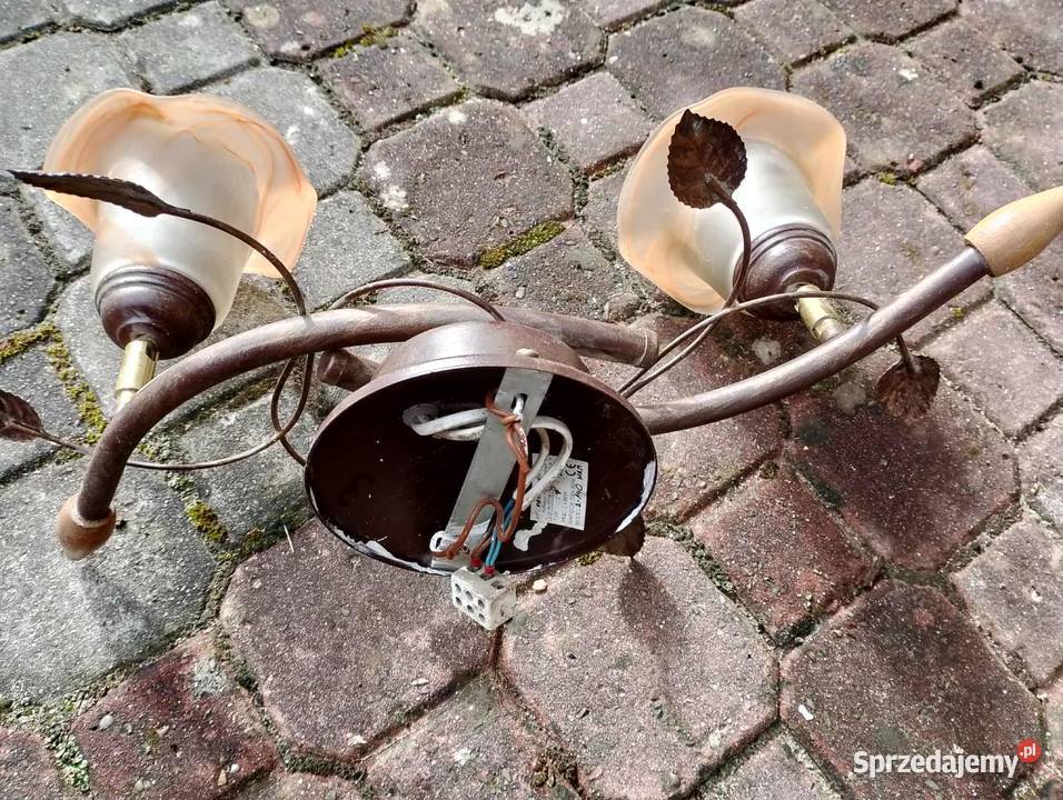 sprzedam lamy Przedmieście Czudeckie