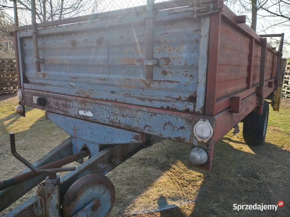 rozrzutnik carna białostocka Węgrów