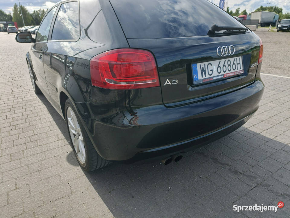 Audi A3 Sportback nowy 8P 20032012 1998cm3 sprzedam