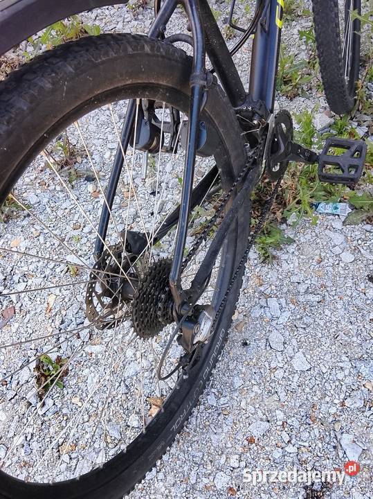Rower Specjalized Leszno