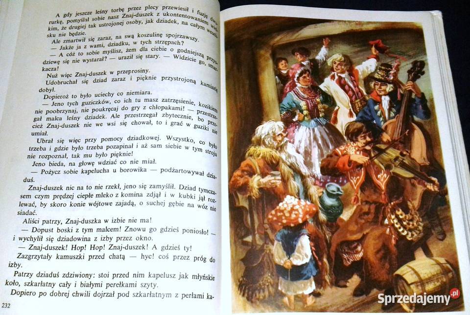 Królestwo bajki Ewa SzelburgZarembina Chełm sprzedam