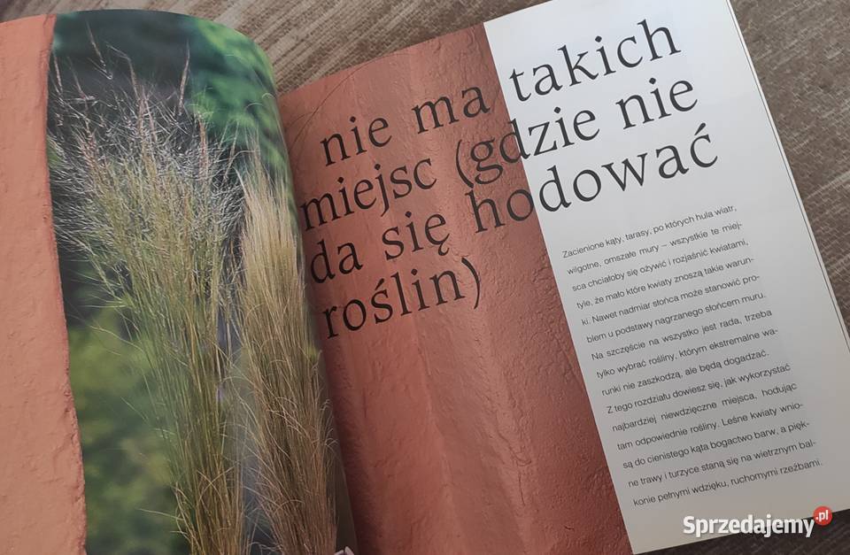 Ogród w oknie na wyciągnięcie ręki Gdańsk sprzedam