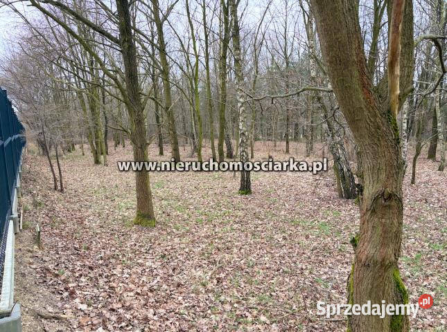 Sprzedam działka 10182m2 Wodzisław Śląski śląskie