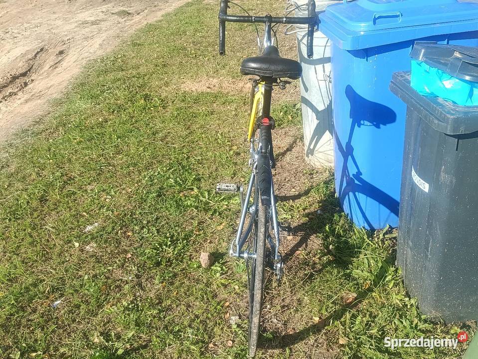 Kolarzuwka Korsarska Świecie nad Osą