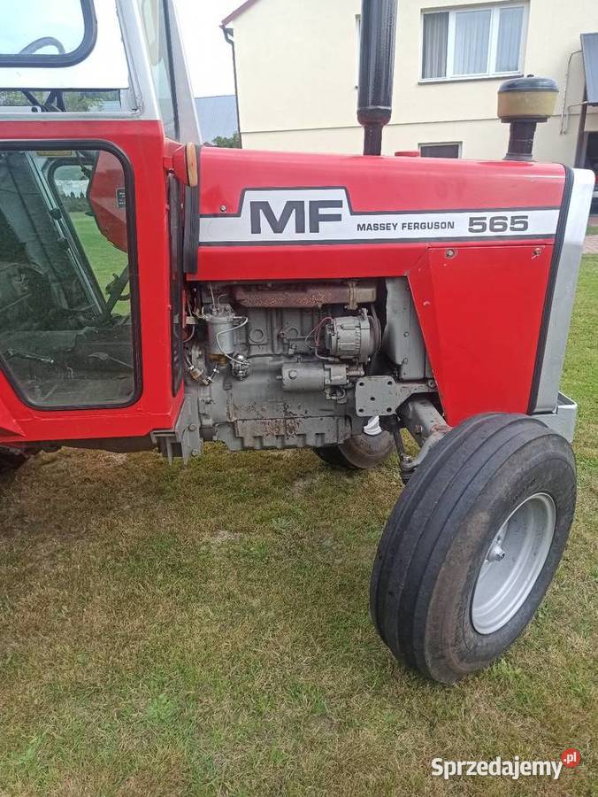 Massey ferguson 565 Ruda Różaniecka