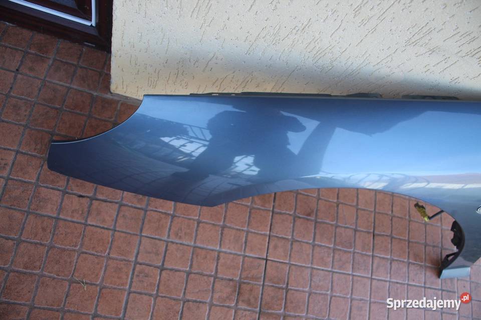 BŁOTNIK LEWY PRZÓD PRZEDNI EZWD PEUGEOT 407