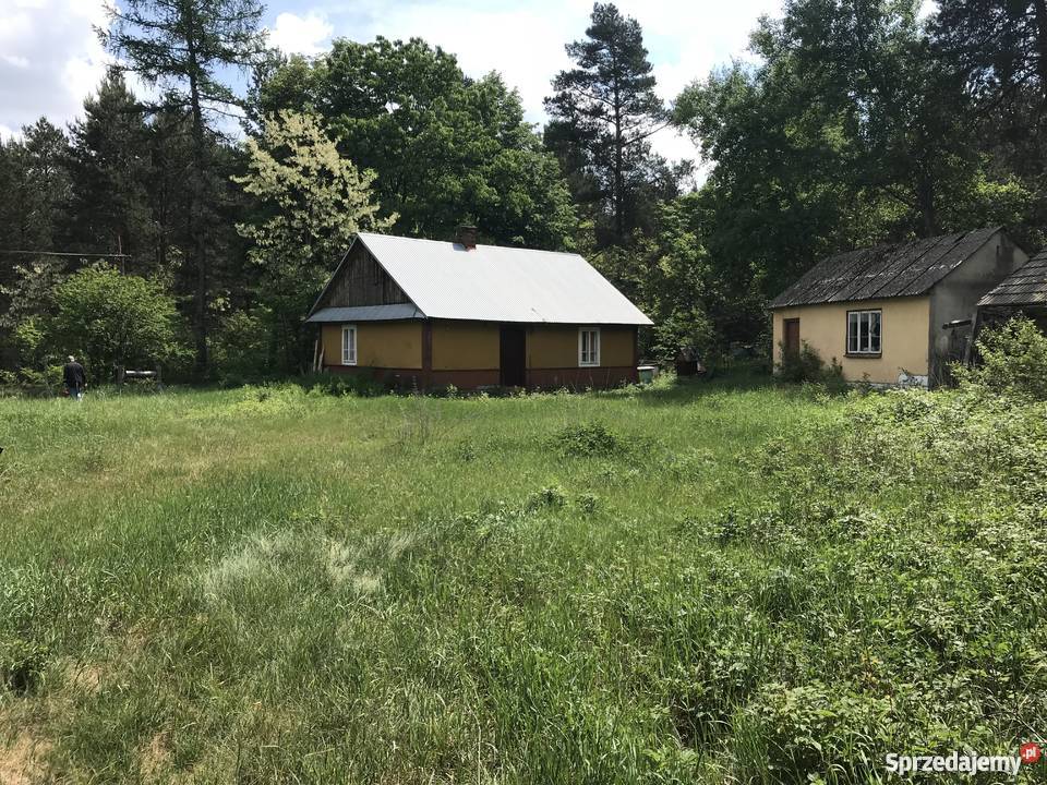 Siedlisko ma roztoczu