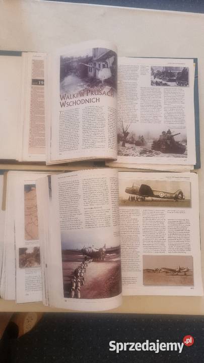 Historia II Wojny Swiatowej Antyki, Sztuka, Kolekcje wielkopolskie Poznań