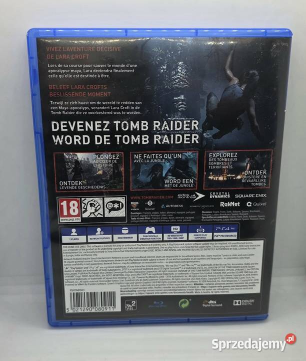 Gra Shadow Of The Tomb Raider 4