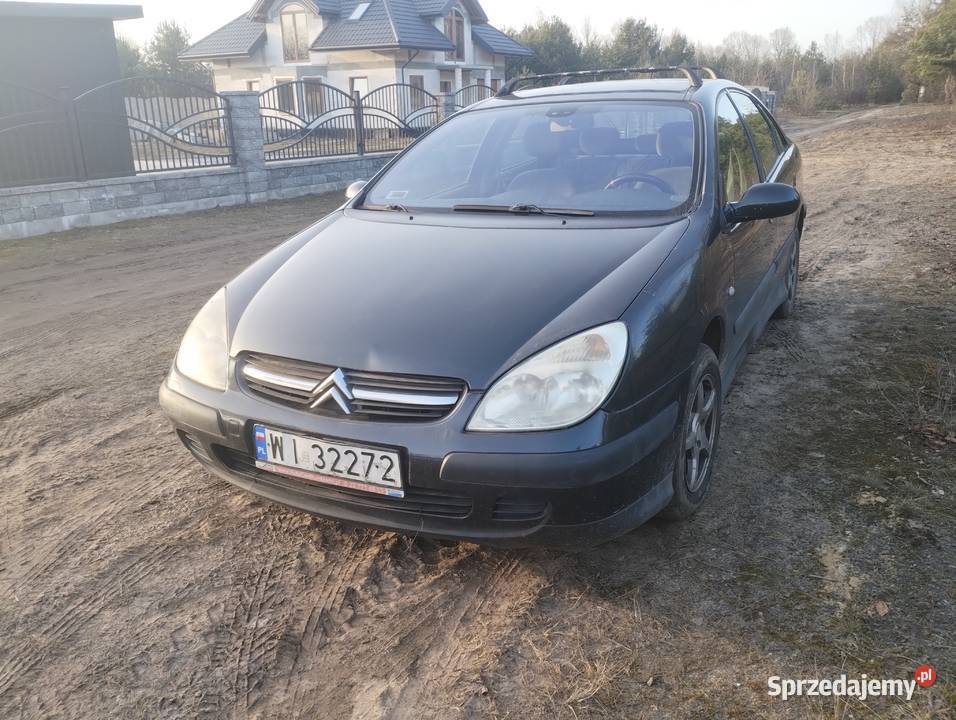 Citroen C5 5 drzwi 5 biegów 136 benzyna 2001 Nowe Załubice