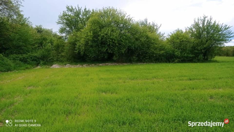 Działka rolna 244ha Sienno
