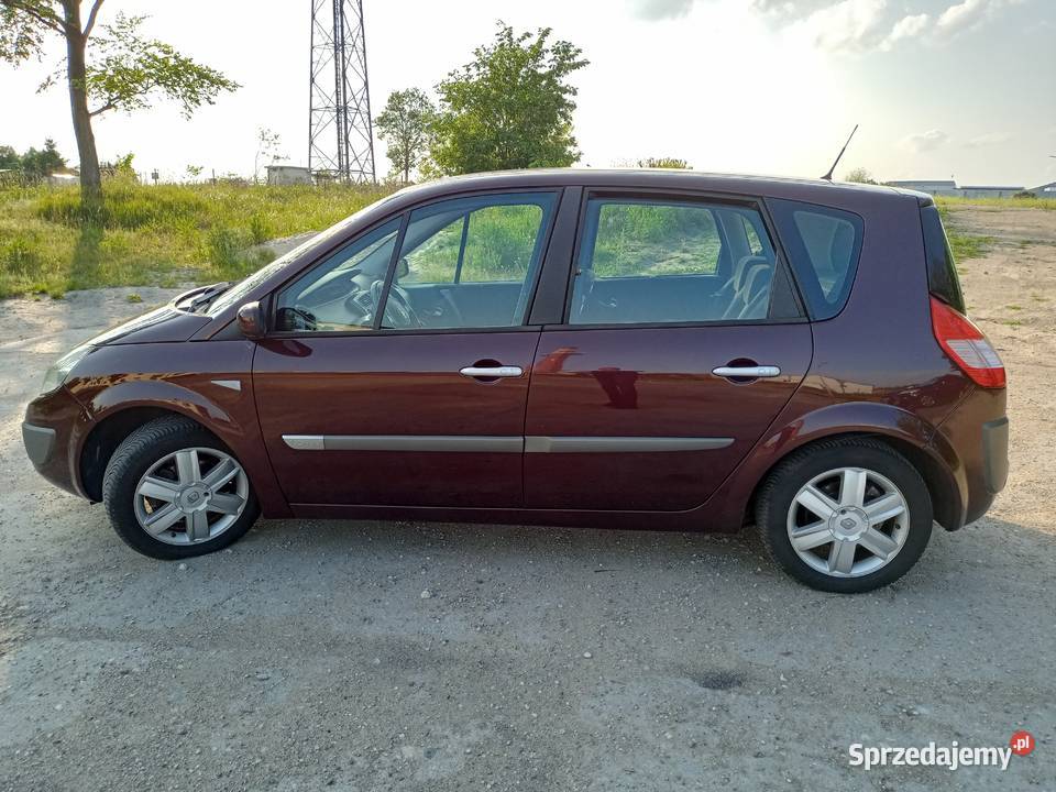 Renault Scenic 2003 16 benzyna Scenic Włocławek