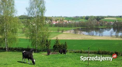 działkę budowlaną z widokiem na 3 jeziora budowlana Chmielno