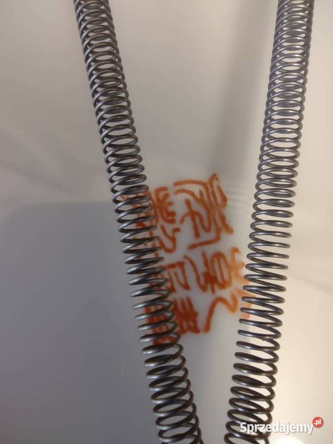 CHIŃSKA PORCELANA PIĘKNY TALERZ wielkopolskie Gniezno