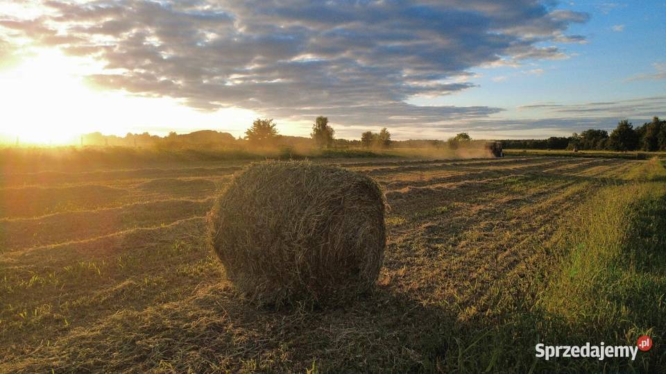 Bele Siana 130 1 i 2 Pokos Bobrowice