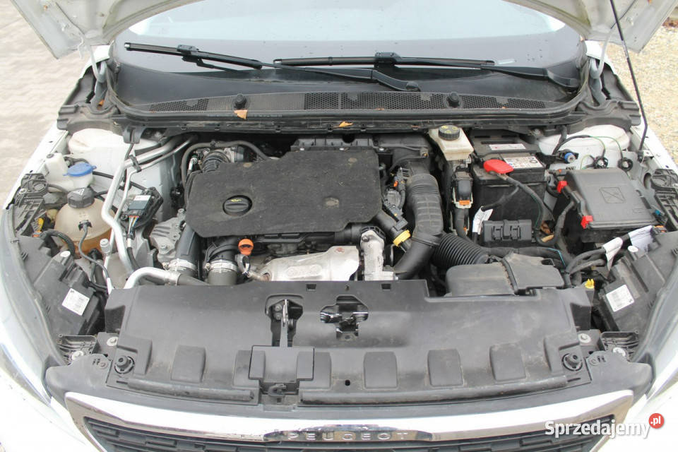 Peugeot 308 T9 20142021 131KM wielkopolskie Ostrów Wielkopolski