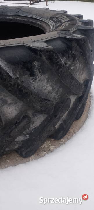 sprzedam oponę 52070 E34 4806528 42070r 24 Trębaczew