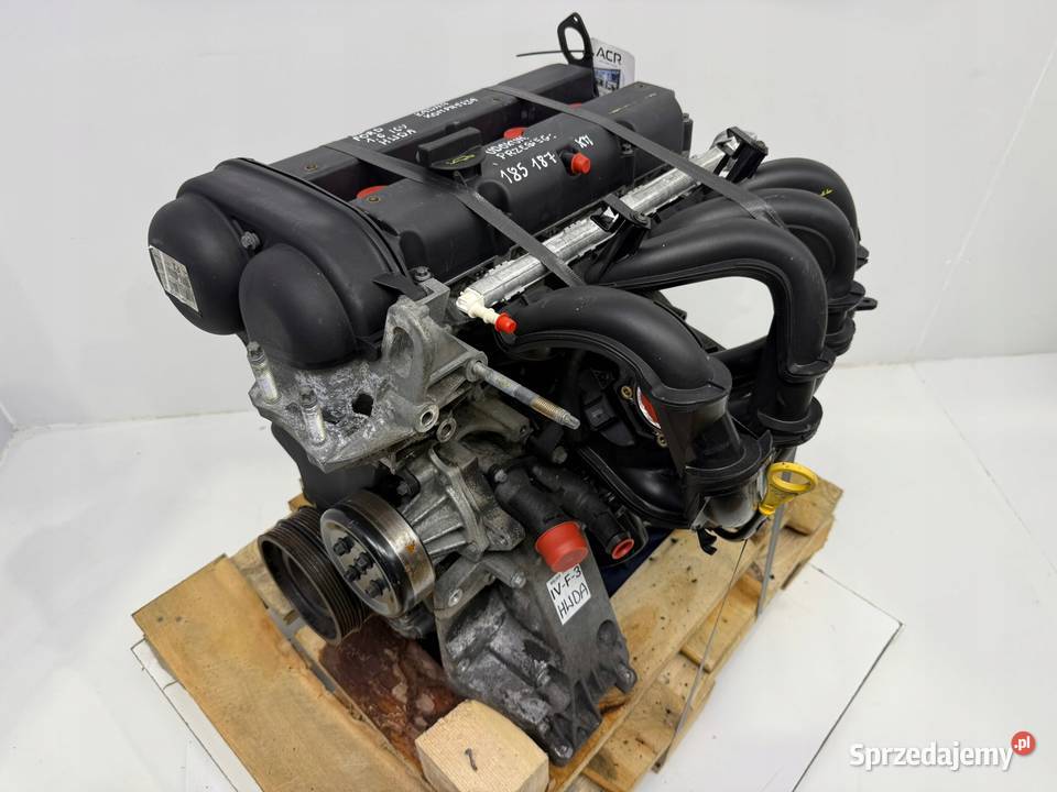 SILNIK Ford Focus II MK2 C C 16 16V 100 osobowe Chełm