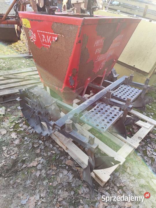 Sadzarka do ziemniaków Dąbie