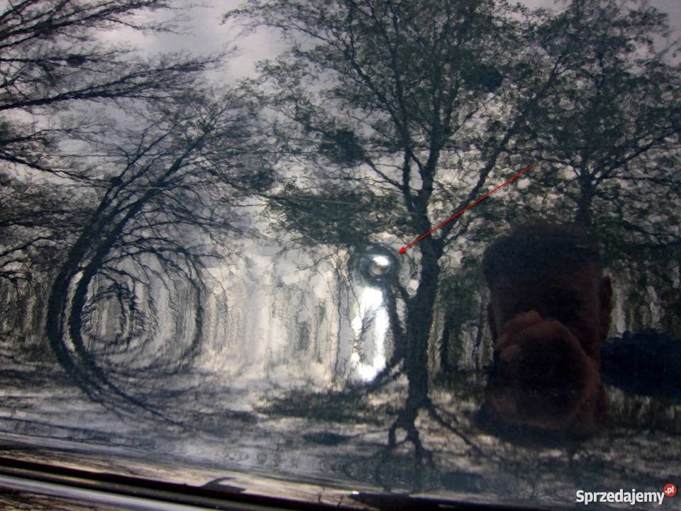 MERCEDES W414 VANEO DRZWI PRAWE PRZÓD KOLOR 9154 części blacharskie Radom