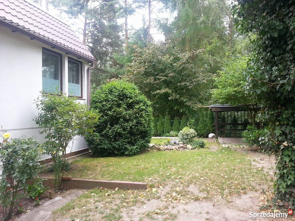 Dom w Osolinie Osolin sprzedam