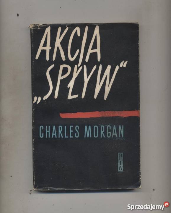 Akcja Spływ zachodniopomorskie Szczecin