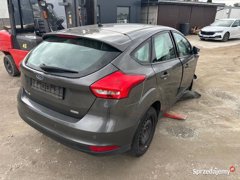 Ford focus mk3 w całości na części lubuskie Wschowa