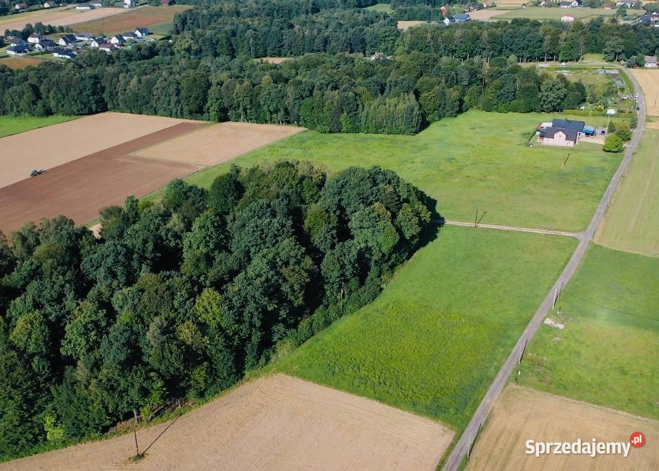 Widokowa działka budowlana w Pisarzowicach