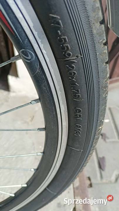 Rower damka Lilly Uszew