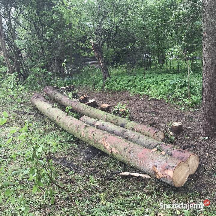 Drewno kominkowe opałowe budulec dł Jesion Dąb