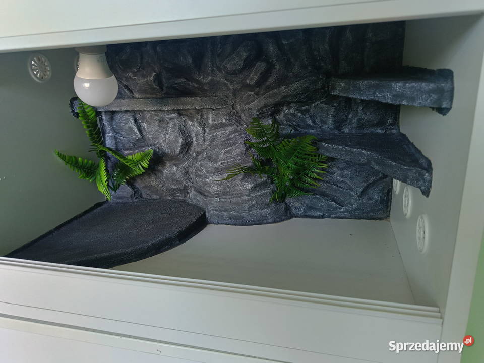 Terrarium drewniane 60x40x40 Reda